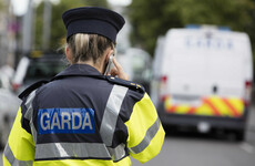 Gardaí arrest 18 people in Carlow; 10 people have been charged
