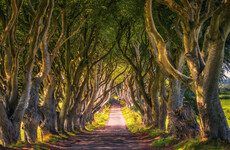 US man dies in road traffic accident near tourist attraction made popular by Game of Thrones