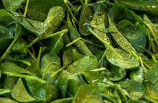 Bags of unwashed spinach and mixed leaves recalled over presence of bug-causing bacteria