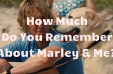 How Much Do You Remember About Marley & Me?