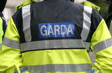 Gardaí launch new phone line for people to report bribery or corruption