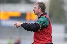 Offaly appoint Tom Coffey as interim football manager for championship