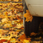 4 road hazards to look out for in autumn... and how to avoid them