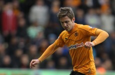 Irish eye: Wolves put down