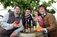 Food sector "pivotal in Irish tourism"