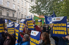 'Factories have torn the hell out of prices': Farmers march on Kildare St to protest beef prices