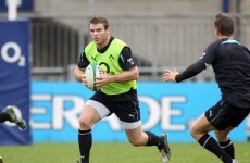 Ireland ready for a bit of Boks bullying