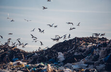Ireland is approaching an emergency waste landfill situation, warns minister