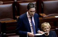 Calls to remove all maternity costs for women as abortion legislation introduced in Dáil