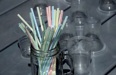 Poll: Do you make efforts to reduce how much single-use plastics you buy?