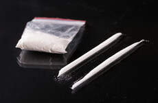 Dublin model under garda probe for stashing Kinahan-linked drug money