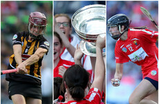 Cork and Kilkenny stars make up shortlist for 2018 Player of the Year award