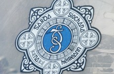 Investigation finds only 1 of 9 officers in Gaeltacht Garda station spoke Irish