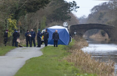 Dublin man admits shooting father-of-one and dismembering his body