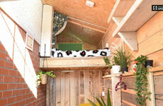 Advert for 'glorified shed', being rented for €700/month, removed from website