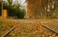 Leaves on tracks: Why your train might be delayed over the coming weeks