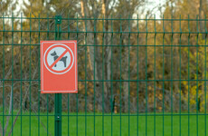 Man and woman jailed in UK after toddler severely mauled by dog
