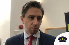 'They demanded her head on a plate': Harris says Fitzgerald deserves an apology from opposition leaders