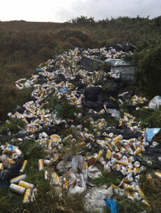 'This is disgraceful': Hundreds of cans of Tennants illegally dumped in Donegal