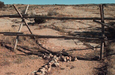 Kidnapped, robbed and killed - but Matthew Shepard is to finally be laid to rest after 20 years