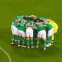 Have the Irish public fallen out of love with the national team?