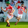 1-6 for Harnedy as Imokilly crowned Cork champions again after win over Midleton