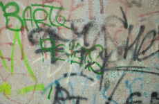 Dublin gang suspected of campaign of graffiti harassment and threats to garda injured in acid attack