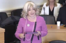 RTÉ Áras debate heckler says she filled in audience form accurately to get on the show