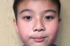 Bray school calls for halt in deportation of nine-year-old boy
