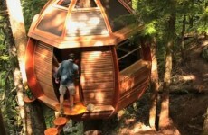 VIDEO: Squatter's secret treehouse in danger