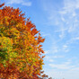 Dry weather and clear skies today ... but clouds and rain expected this weekend