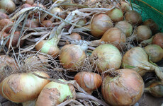 As winter approaches now is the time to think about growing your own onions
