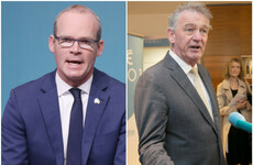 'He's trying to raise his profile': Tánaiste dubs Casey's campaign as 'irresponsible politics'