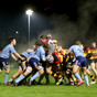 Defending champions Lansdowne clinch first win of new season while Shannon hammer Terenure