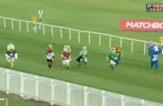 Rocky the Seagull romps to victory in League of Ireland charity mascot race
