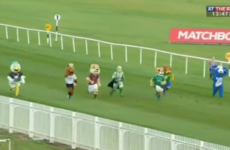 Rocky the Seagull romps to victory in League of Ireland charity mascot race