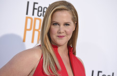 Amy Schumer hid her pregnancy announcement in a friend's Instagram story... it's The Dredge