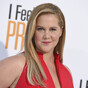 Amy Schumer hid her pregnancy announcement in a friend's Instagram story... it's The Dredge