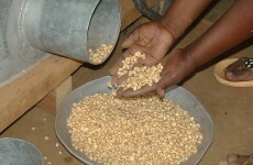 UN: 'Significant progress' in human development