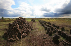 Bord na Móna expected to announce plans to cut 300 jobs