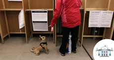 Here's your guide to voting in the presidential election and blasphemy referendum