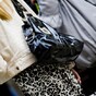 How clean is your handbag?