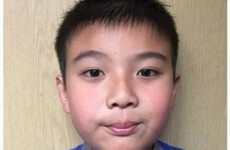 'No immediate threat of deportation': Bray schoolboy's case to be reviewed