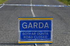 Garda investigation after man hit by truck on M6 in early hours of the morning