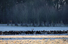 Cold snap to continue as temperatures to dip to -4 degrees in parts of the country tonight