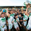 Shefflin's first year over Ballyhale ends with Kilkenny title after TJ Reid masterclass