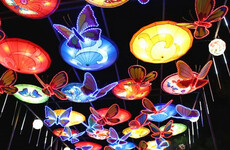The animal-shaped silk lanterns of Wild Lights return to Dublin Zoo