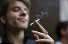 Netherlands to decide today on café ban for foreigners