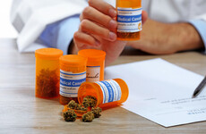 Delay in medicinal cannabis scheme as the government is having problems finding a quality assured supplier