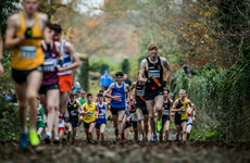 Boost for Irish athletics as Dublin wins bid to host European Cross Country
